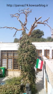 گالری عکس های فصل پائیز
