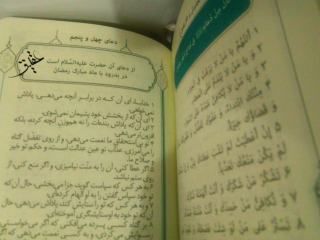 همنشین ماه من